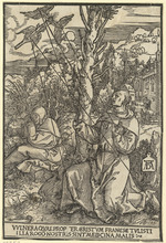 Der heilige Franziskus empfängt die Wundmale