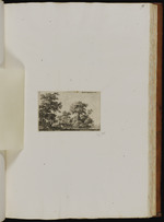 Die hölzerne Brücke vor der Hütte