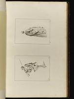 Oben: Stehende Frau in Rückansicht; unten: Jäger mit Gewehr auf der Schulter