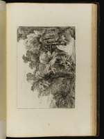 Landschaft mit Weiden und Schleuse einer Mühle