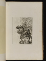 Landschaft mit Teich und zu Häusern führender Straße