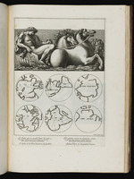 Phoebus in seinem Wagen