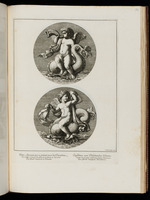 Zwei Medaillons mit Putten auf Delphinen, nach links gewandt